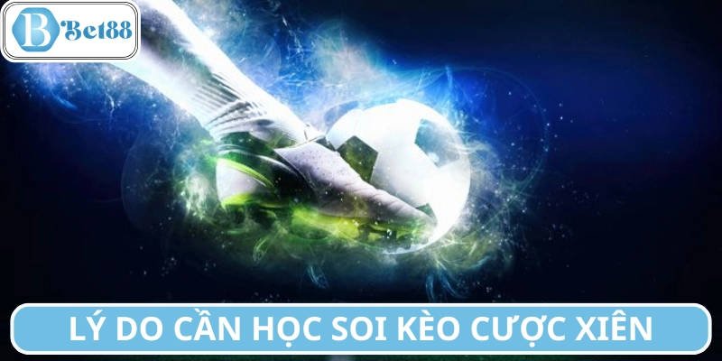 Lý do cần học mẹo soi kèo cược xiên