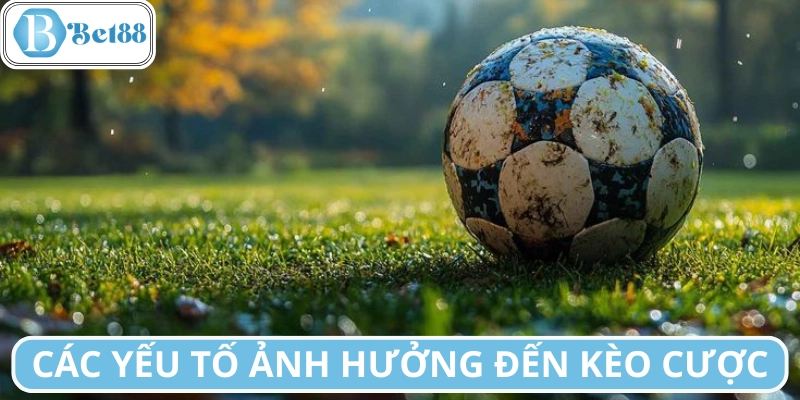 Yếu tố ảnh hưởng đến kèo cược