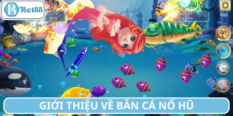 Giới thiệu bắn cá nổ hũ nhiều điều thú vị