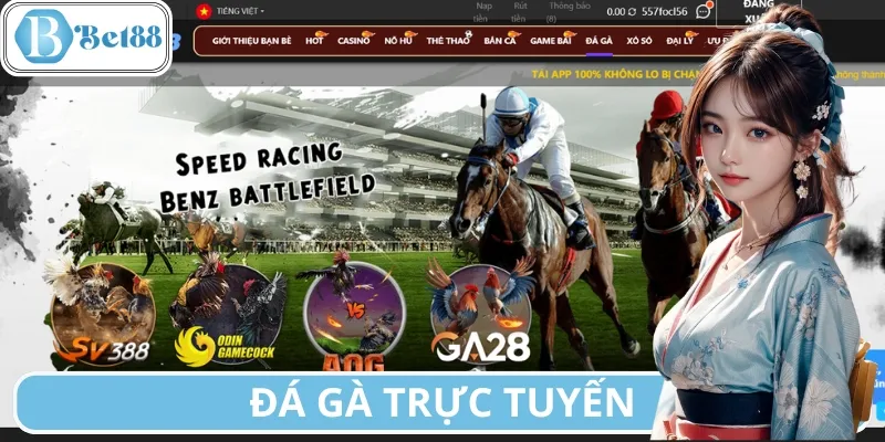 Đá gà trực tuyến mang đến cho kê thủ những trải nghiệm mới