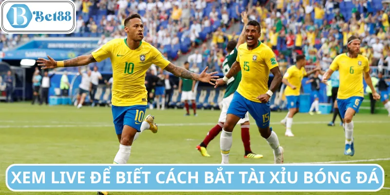 Cách bắt tài xỉu bóng đá theo tỷ lệ live