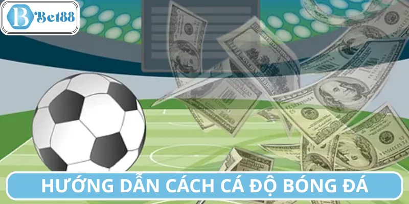 Tham khảo cách cá độ bóng đá từ cao thủ trong nghề