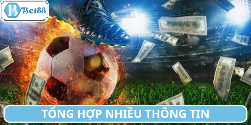 Tìm kiếm nhiều thông tin để có dự đoán chuẩn