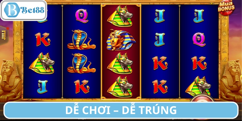 Hướng dẫn nhanh cho người mới làm quen