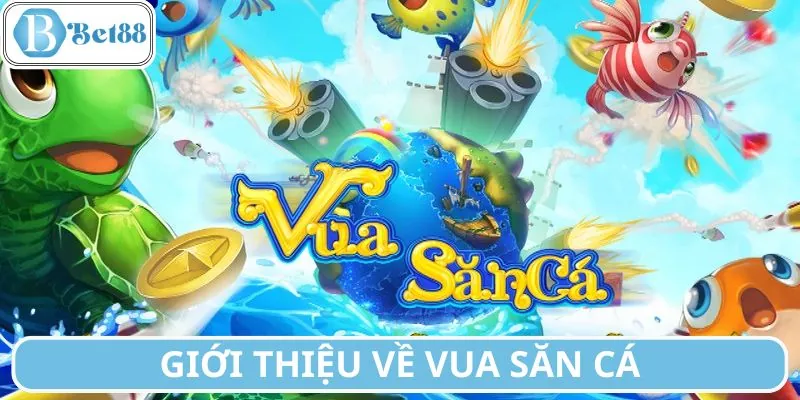 Tìm hiểu rõ về Vua săn cá