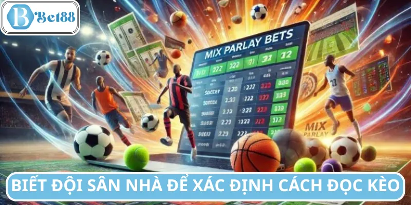 Khi biết cách đọc kèo tài xỉu, bạn sẽ hiểu được vì sao nhà cái ra tỷ lệ này