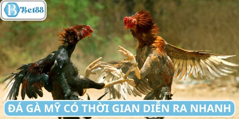 Thời gian diễn ra nhanh nên được yêu thích