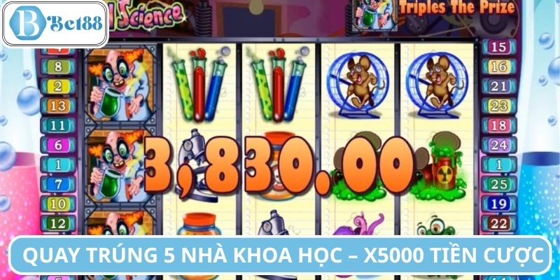 Biểu tượng đa dạng, trả thưởng theo cấp bậc