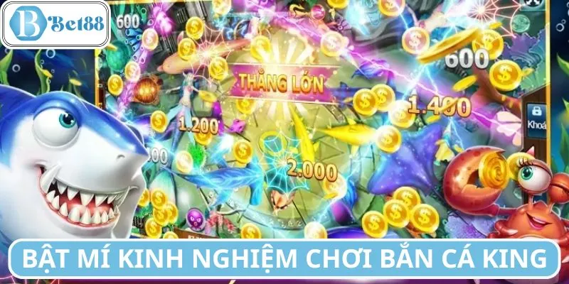 Kinh nghiệm chơi bắn cá King hiệu quả không thể bỏ qua