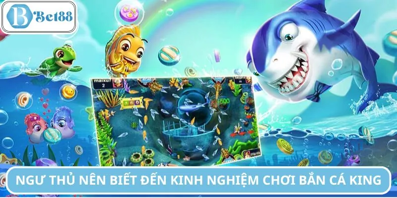 Ngư thủ nên áp dụng ngay kinh nghiệm chơi bắn cá King