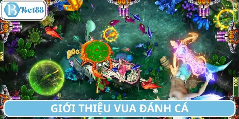 Điểm qua thông tin cơ bản về Vua Đánh Cá
